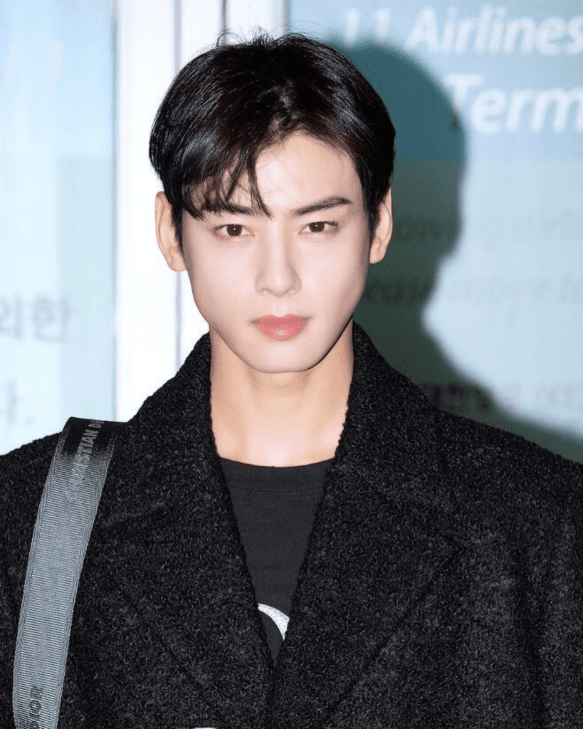 Cha Eunwoo Dior