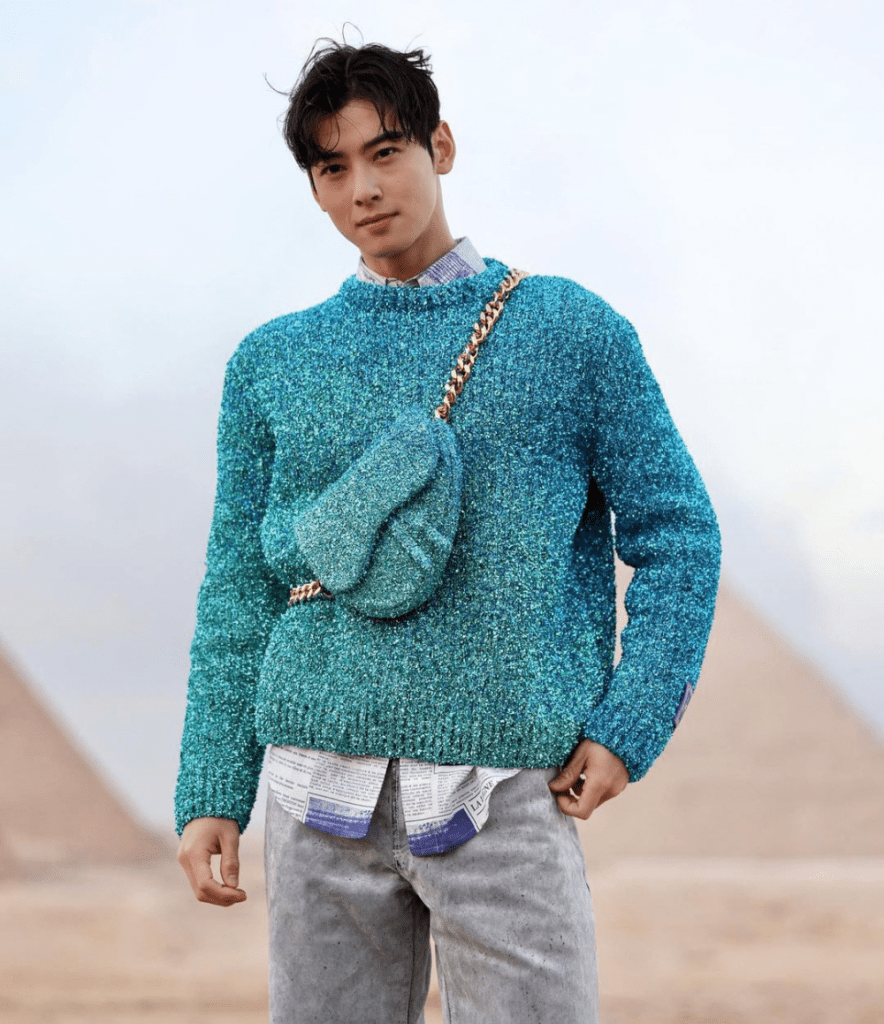 Cha Eunwoo Dior