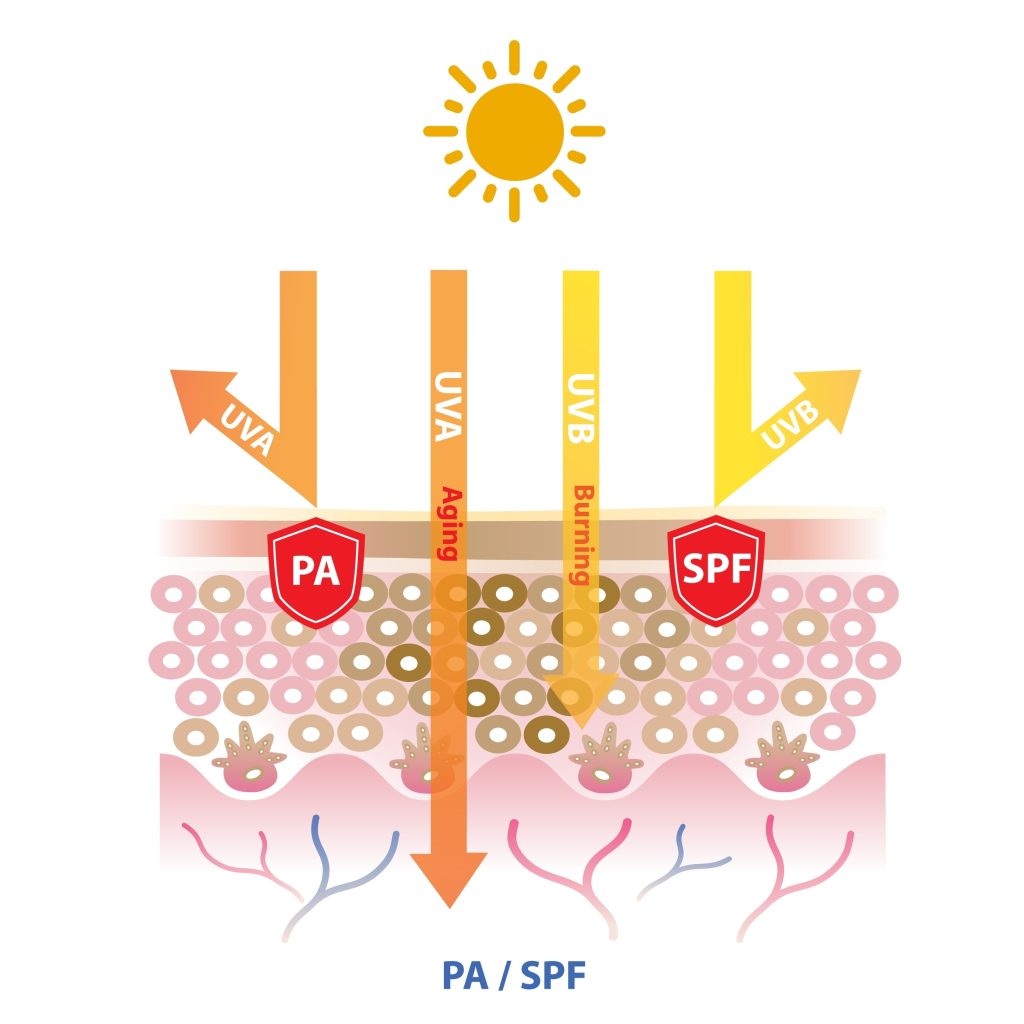 UVA UVB SPF PA Sunscreen