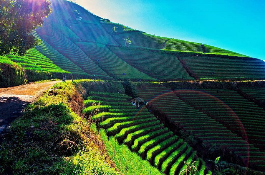 Desa Terindah di Indonesia