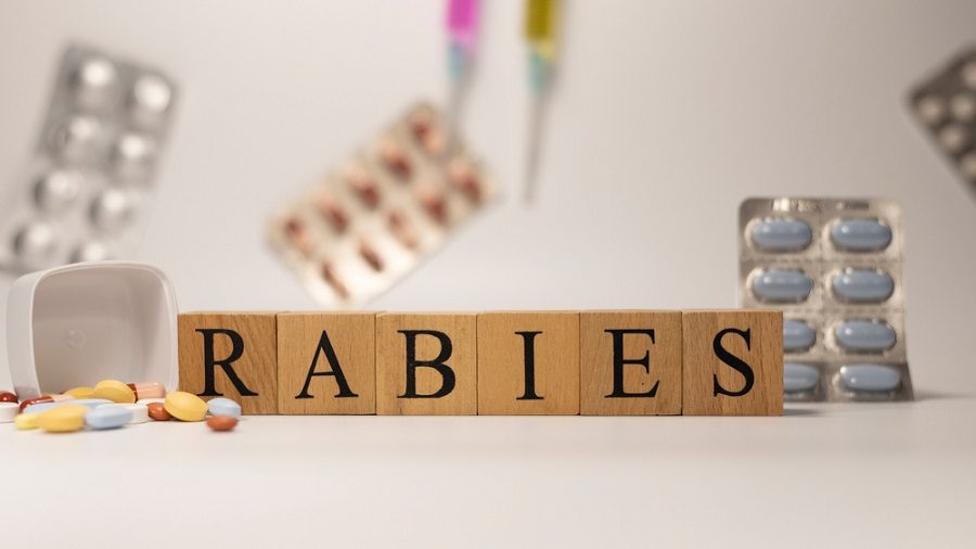 Penyakit Rabies