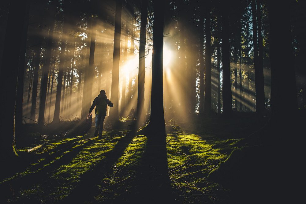 Tips Bertahan di Hutan