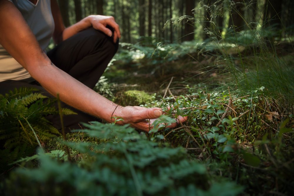 Tips Bertahan di Hutan