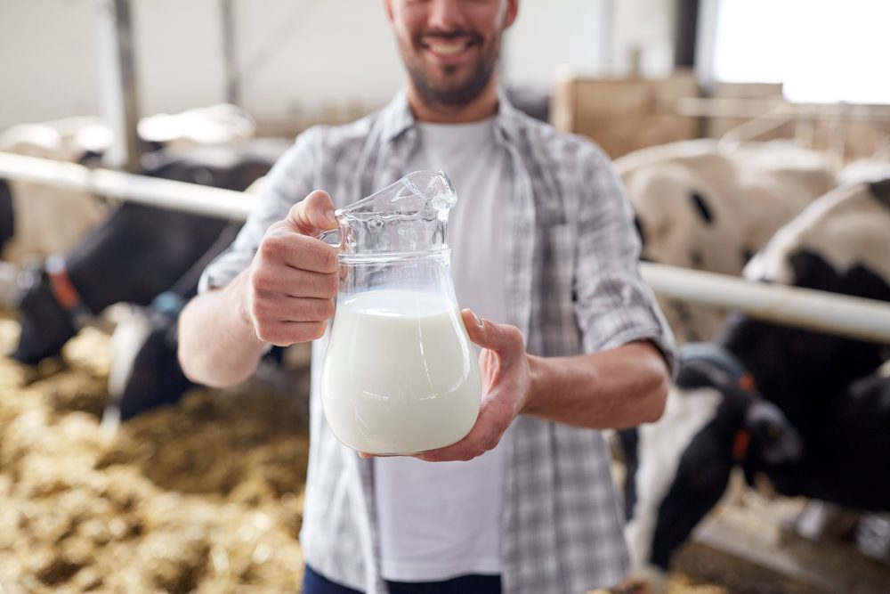 susu dairy